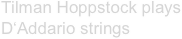 Tilman Hoppstock plays 
D‘Addario strings